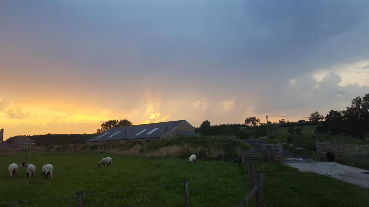 Keld Barn, Low Ploughlands Holiday Lets 柯比斯蒂芬 外观 照片
