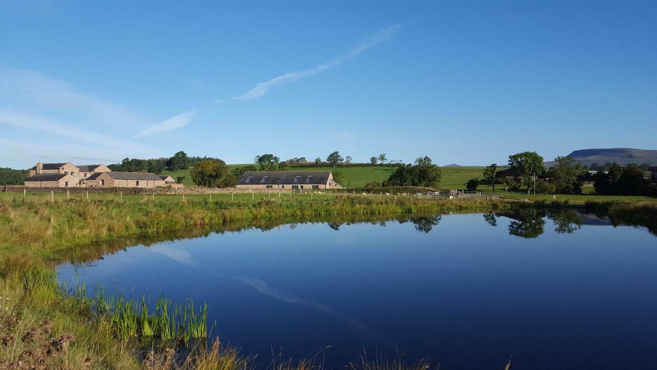 Keld Barn, Low Ploughlands Holiday Lets 柯比斯蒂芬 外观 照片